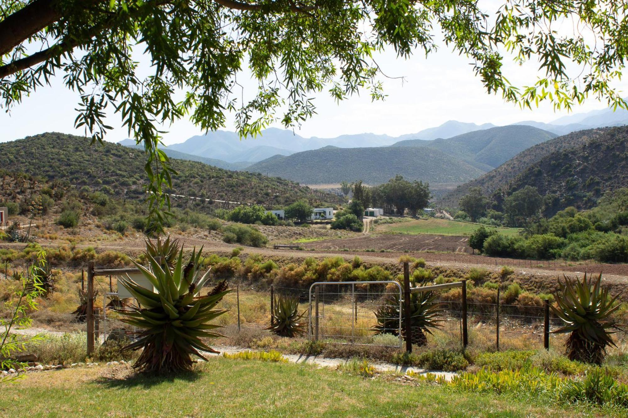 Bauernhof Matjiesvlei *