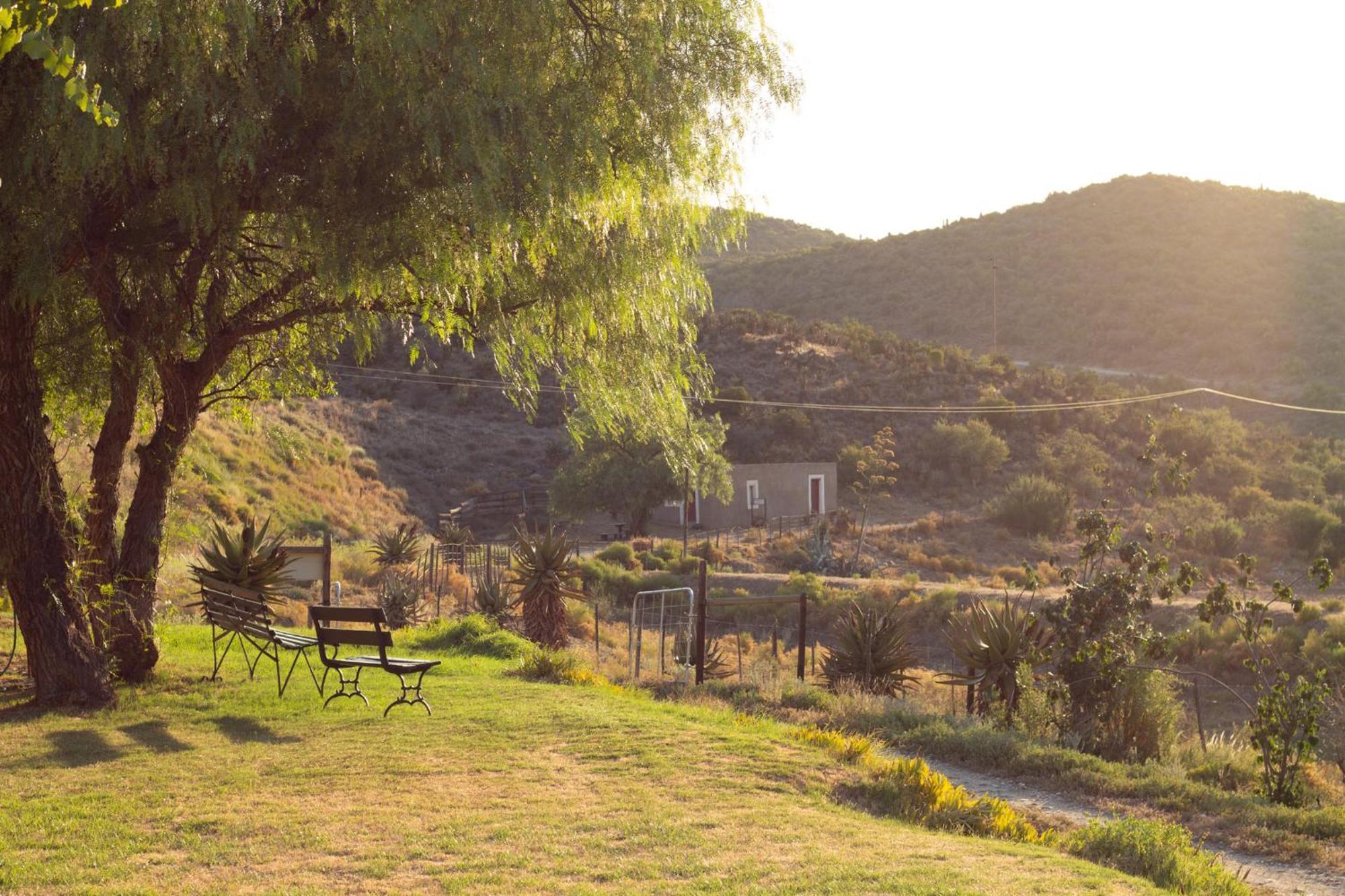 Matjiesvlei Bauernhof *