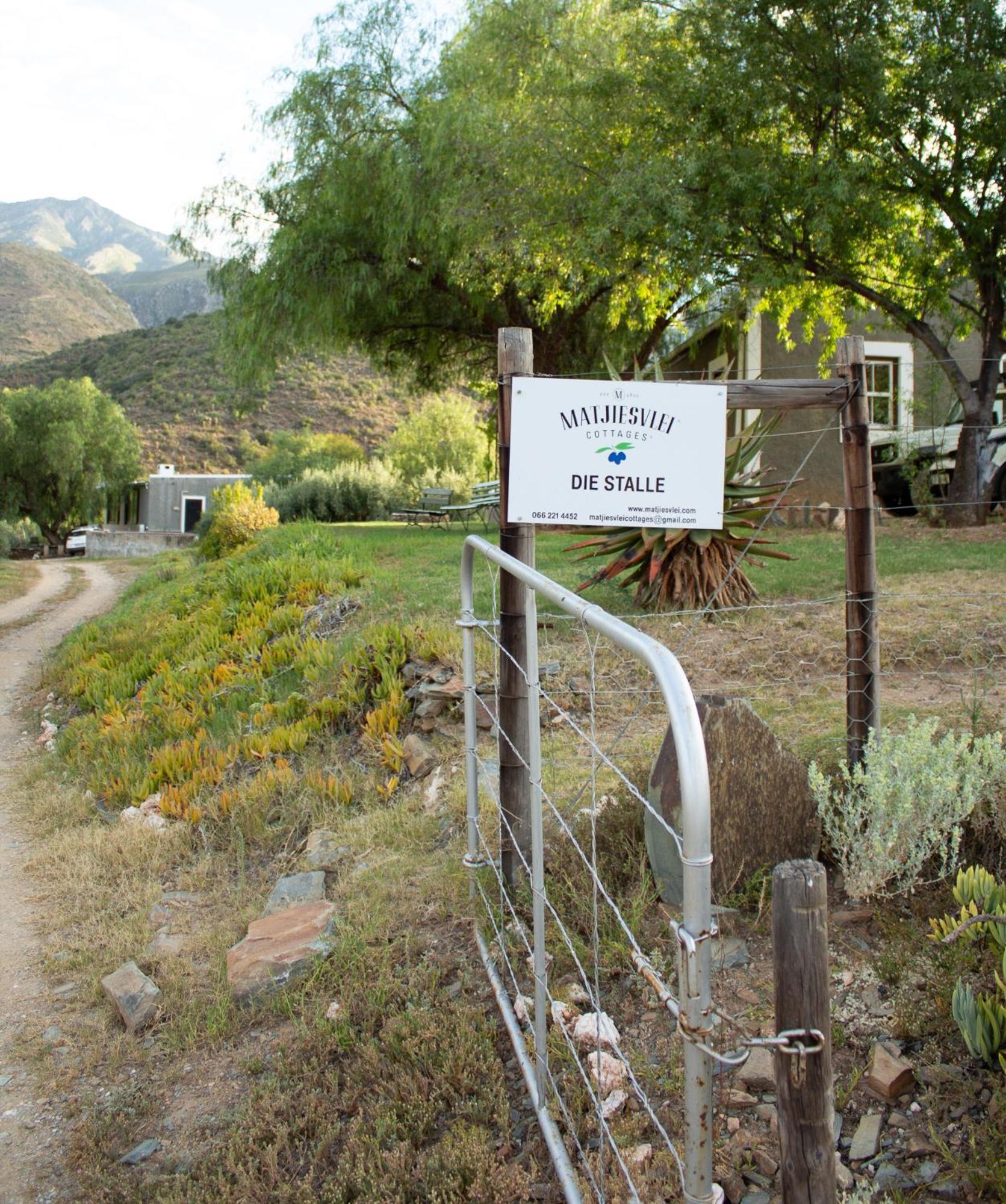 Matjiesvlei * Calitzdorp